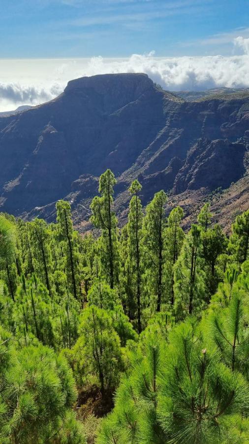 San Sebastián de la Gomera Casa Doris 아파트 외부 사진